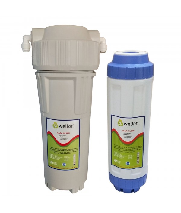 WELLON Anti-Oxidant Alkaline Filter for Whole House Water Filtration System (10 in)